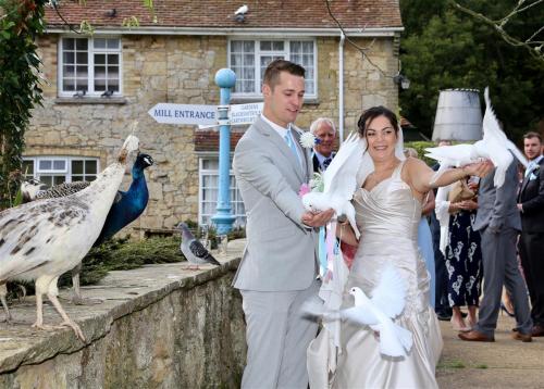 IOW Wedding Phootgrapher (1)