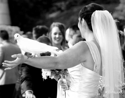 IOW Wedding Phootgrapher (2)